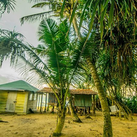 Hikkaduwa Backyard Beach Homestay Гале Екстериор снимка